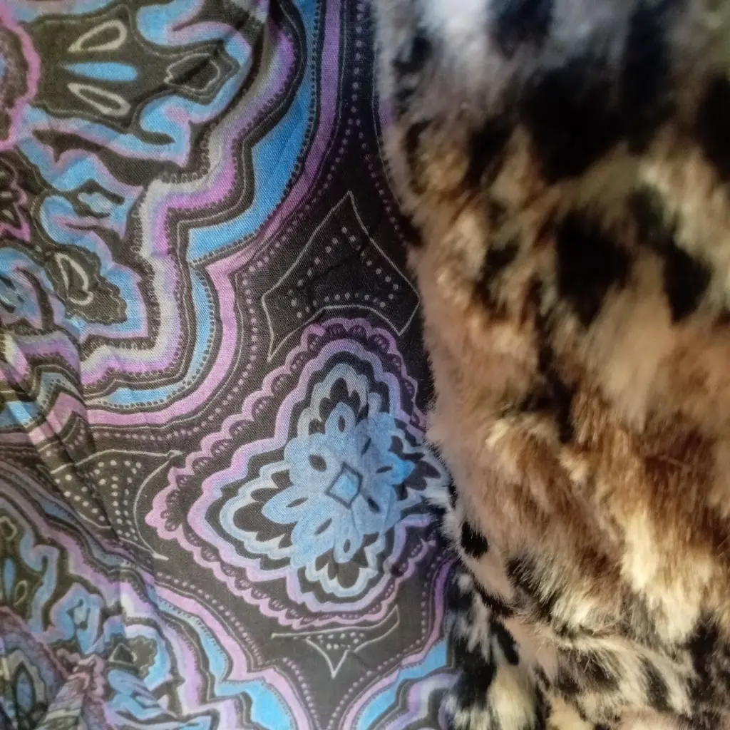 Brown and black cropped faux fur jacket with leopard print 3.webp