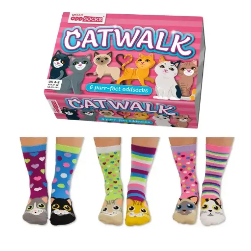 Catwalk Box of 6 Fashionably Mismatched Ladies Socks UK 4 - 8