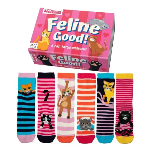 Feline Good Cat Odd socks UK size 4-8 Box of 6